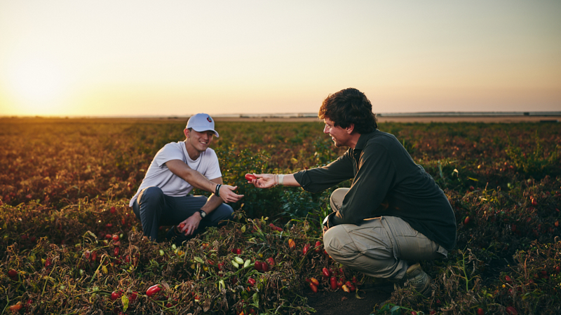 Produzione video reportage per azienda agricola